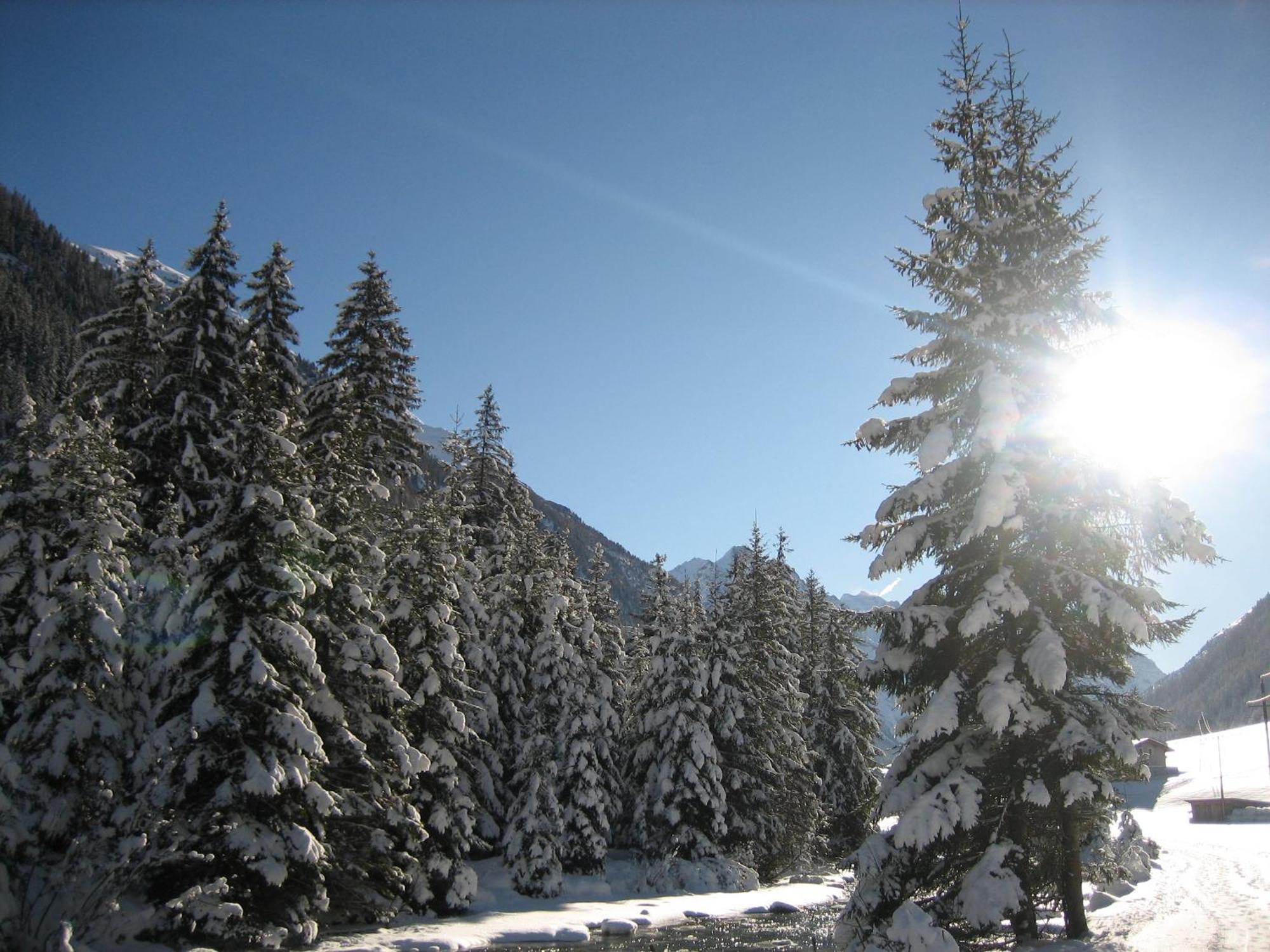 Apart Arve Sankt Leonhard im Pitztal Dış mekan fotoğraf